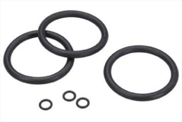 Grünbeck Dichtungssatz f.Feinfilter FS 1" - 100001