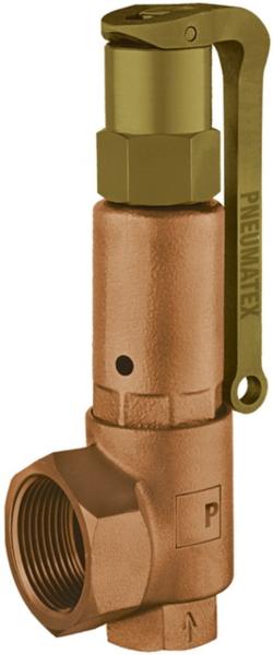 Heimeier PNEUMATEX Sicherheitsventil DSV 40-3,5 DGH, GGG, Farbe Beryllium - 5365035